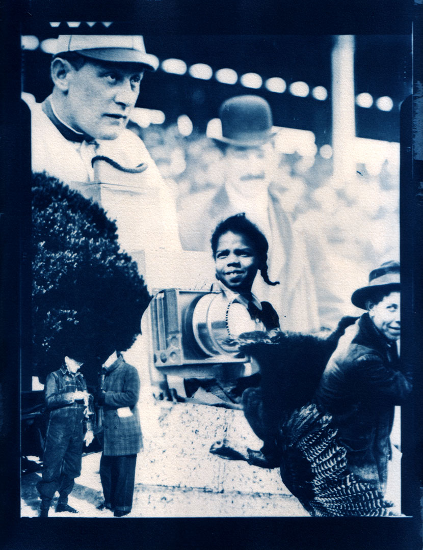 cyanotype print digital negatives