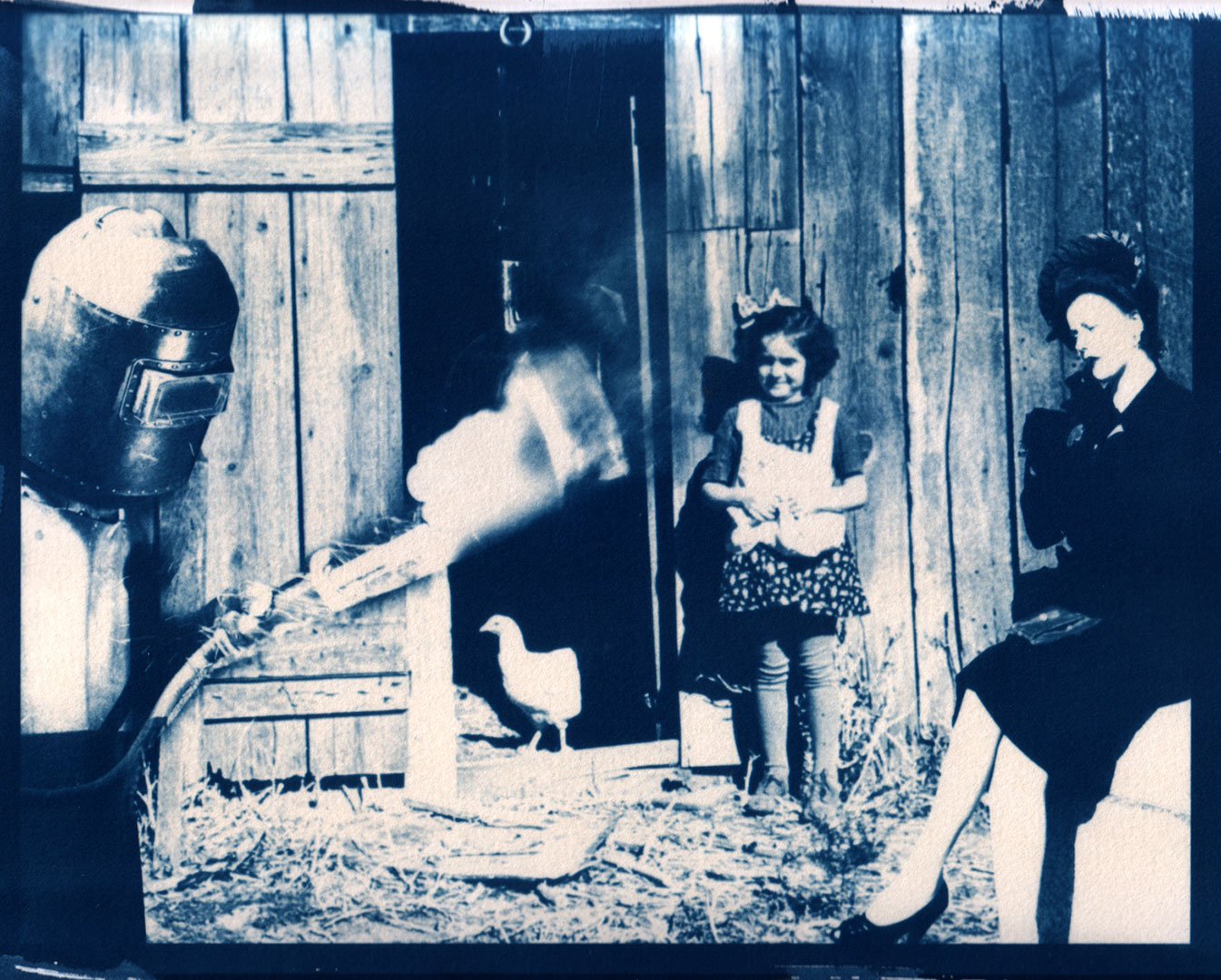 cyanotype print digital negatives